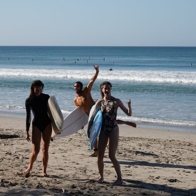 Tropical forest meeting the ocean in Costa Rica