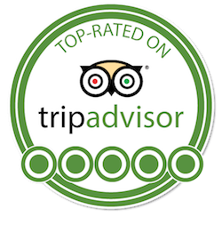 tripadvisor-logo-reviews